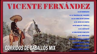 VICENTE FERNANDEZ PUROS CORRIDOS DE CABALLOS MIX 🔥 VICENTE FERNANDEZ LAS MEJORES RANCHERAS [upl. by Robin]