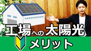 【産業用太陽光】太陽光の導入メリット・デメリット【前編】（法人編）工場・ドラッグストアなど向け [upl. by Eisnyl702]