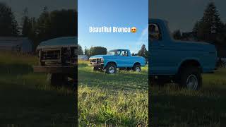 1979 ford bronco in the farm field [upl. by Corron]