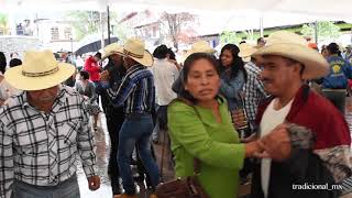 Bailando Cumbias desde Xilitla SLP [upl. by Ahsiekar]