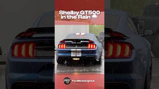 Shelby GT500 Rolling 🏎️ [upl. by Ellehcor374]