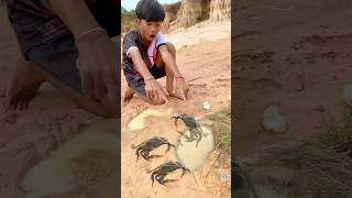 Survival skills Idea New SIMPLE but USEFUL with Crab outdoors camping youtubeshorts subscribe [upl. by Haissi]