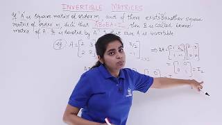 Class 12th – Overview of Invertible Matrices  Matrices  Tutorials Point [upl. by Dorkus124]