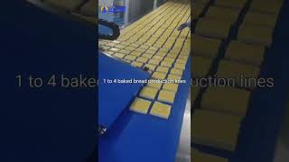 1 to 4 baked bread production lines [upl. by Amoihc]