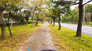 OIST to Mission Beach  Cycling  Okinawa  Japan [upl. by Nidnal323]