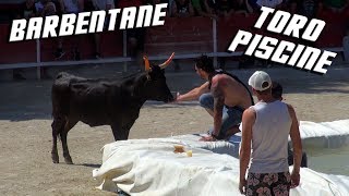 BARBENTANE TORO PISCINE 27052017 🐮 [upl. by Aikemit]