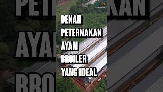 Denah Peternakan Ayam Broiler yang Ideal [upl. by Aisats]