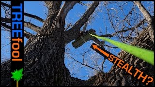 Urban Stealth Tree Camping is Awesome [upl. by Rosemaria802]