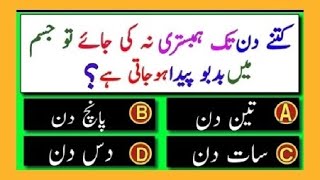 Islamic Questions Answers  Urdu Quiz  Islamic Paheliyan  Islami Sawal Jawab  Islamic Quiz [upl. by Muir]