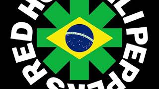 Red Hot Chili Peppers live Rio de Janeiro Brazil 10112002 FULL SHOW [upl. by Bevan]