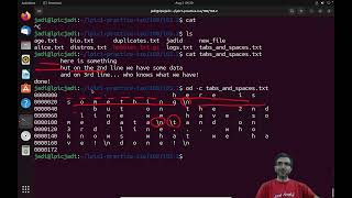 024  How to view text streams using gnu textutils od less cat [upl. by Torrin]