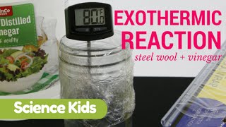 EXOTHERMIC REACTION Steel Wool  Vinegar  HEAT [upl. by Ahsenal525]