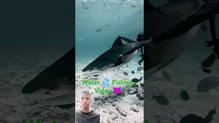 Water fishing video omg📛😈😱shorts scubadiving underwater shark fuvahmulah maldivesdiving shark [upl. by Nalepka332]