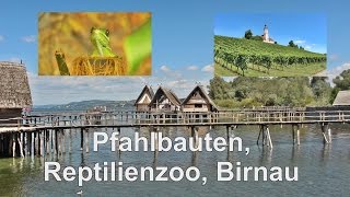 Bodensee  Besuch der Pfahlbauten dem Reptilienzoo und das Kloster Birnau  Unteruhldingen [upl. by Giselbert]