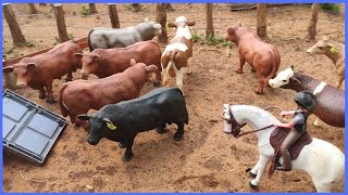 Fazenda de Brinquedo APARTANDO OS TOUROS BRAVOS NA MANGUEIRA [upl. by Ellehsem491]