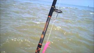 Tarpon fishing off Winyah Bay Georgetown SC  Barrier Island Guide Service [upl. by Ecahc]