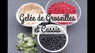 Cuisine N°15   Recette  Gelée de groseilles et cassis [upl. by Aimaj]