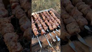 SHASHLIK OVER AN OPEN FIRE openfirecooking shashlik outdoorcooking meatlover meatonthegrill [upl. by Enyrat79]