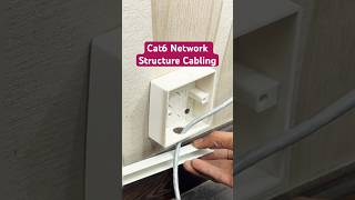 CAT6 Cable structure cabling networking cat6 module termination [upl. by Lamok996]