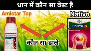 धान में कोन सा बेस्ट हे Nativo या Amistar TopNativo vs Amistar top kon sa best h nativo or Amistar [upl. by Nnylsor]