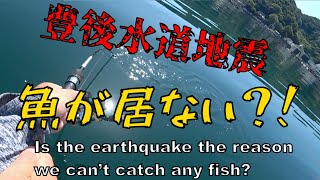 【ダンゴ釣り】地震の後から魚があまり釣れてない？？震源地近くの愛南町由良に行ったらスゴかった！！ [upl. by Rento512]