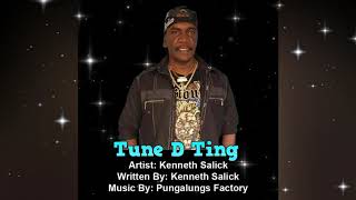 Kenneth Salick  Tune D Ting Chutney Soca [upl. by Sunshine379]