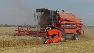 Mähdrescher DeutzFahr M1322 Weizenernte bei Meldorf [upl. by Namolos]