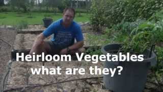 Heirloom Vegetables what are they [upl. by Llezom]