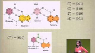 Classical and Quantum Information in DNA Google Workshop on Quantum Biology [upl. by Naejarual]