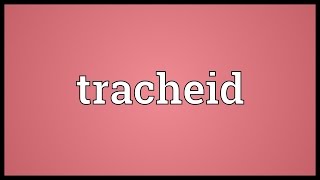 Tracheid Meaning [upl. by Goss]