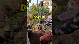 Cute Adventure 🥺 Dogvlog shorts vlog vlogger [upl. by Adikam931]