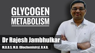 10 Glycogen metabolism Glycogenesis and Glycogenolysis [upl. by Wally902]