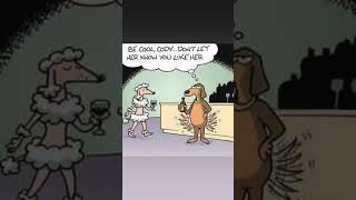 Good Dog dog gooddog comedy comedyvideo comedyshorts [upl. by Ahsien]