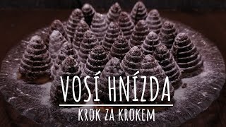 VOSÍ HNÍZDA  krok za krokem [upl. by Corder]