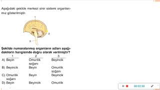 6 Sınıf Fen Bilimleri  Denetleyici ve Düzenleyici Sistem Soru Çözümü 1 [upl. by Hendel200]