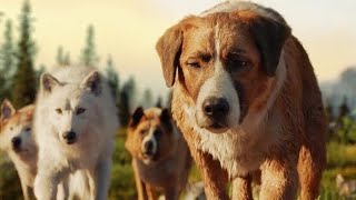 Abandoned Dog Becomes The Leader Of Wolf Pack Avenging On People Who Harm Him [upl. by Spindell906]