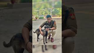 IPS lakshay Pandey 🔥 🔥 shorts [upl. by Wilmar]