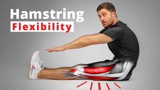 The Science of Hamstring Flexibility – Anatomy amp Training Techniques [upl. by Primalia]