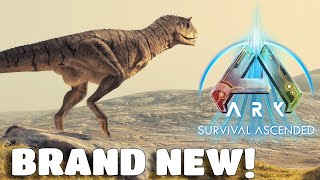 ARK Survival Ascended Release Date UPDATE  Cryopod Mod on Launch and more 🤩 [upl. by Kaiser]