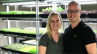 10000 a Month Growing Microgreens in a Basement [upl. by Orna]