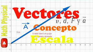 Vector concepto y características  Cómo establecer la escala de un vector 💥👽 [upl. by Artcele]