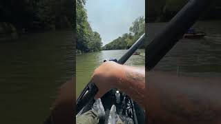 So the Erider definitely ain’t fun to paddle 😂 erider savagegear nrspike nrsfishing fishing [upl. by Aniryt]