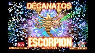 8 ESCORPION DECANATOS CUAL ES EL TUYO [upl. by Pellet]