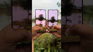 Realme 13 Plus vs Oneplus Nord Ce 4 Camera Test realme13plus oneplusnordce4 comparison shotrs [upl. by Schonfeld]