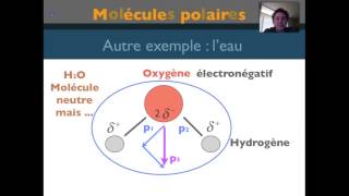 Electronegativite [upl. by Rema855]