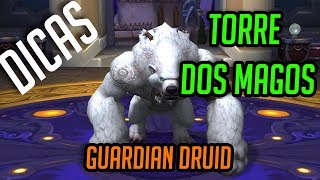 Talentos e dicas Torre dos Magos  Guardian Druid Retorno do Grão Mestre Kruul [upl. by Xuerd]