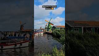 The beautiful windmills in 📍Zaanse Schans 😍 zaanseschans travel shorts netherlands windmills [upl. by Bendick]