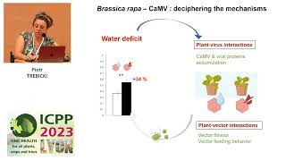 ICPP2023 Plant pathogens interactions in multi stress conditions abiotic and biotic stresses [upl. by Corsetti607]