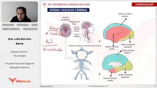 ENFERMEDAD CEREBROVASCULAR PARTE 1  NEUROLOGÍA  VILLAMEDIC [upl. by Aihpledalihp]