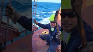 Ship maintenance job 😱 support merchantnavy ship automobile construction vlog viralvideo [upl. by Aekan]